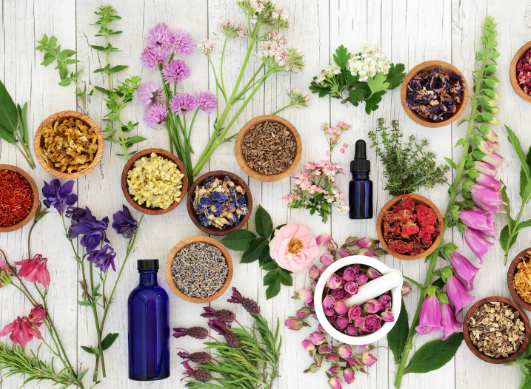 The Benefits of Herbal Medicine (Phytotherapy) for Multiple Sclerosis ...