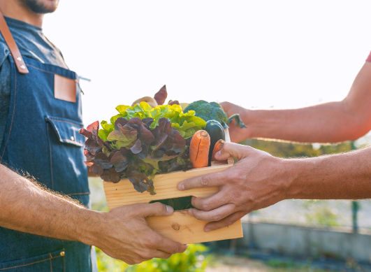Why eat local and seasonal food this autumn?