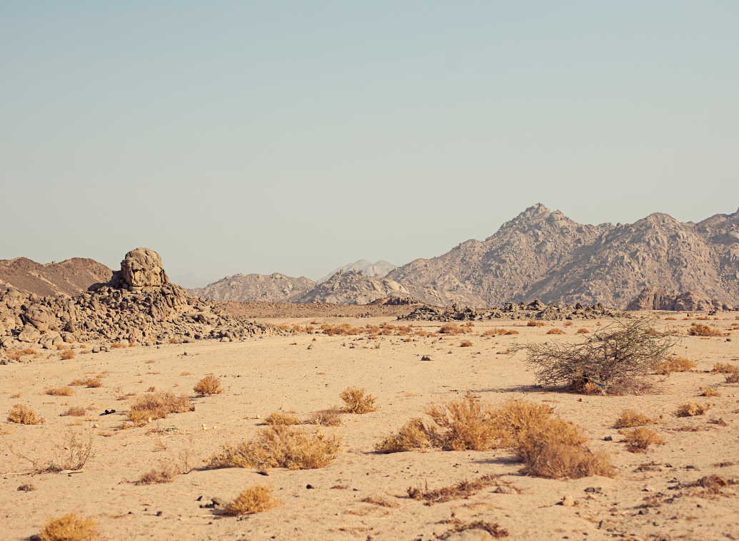 When geography determines your health: living with a rare disease far from specialised centres