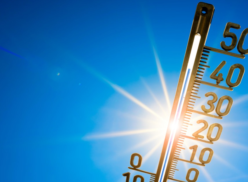 Heatwave: how to stay safe?