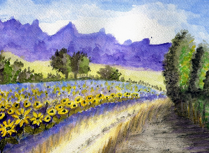 Symptoms, support, and isolation: a couple facing Alzheimer's disease
