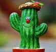 avatar cactus